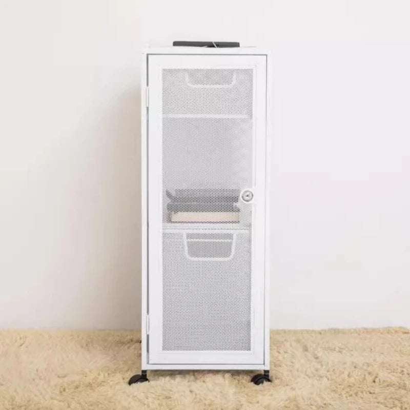 Metal Mesh Security Storage Cabinet Office with Lock File Cabine Home Bedroom Storage Organizer for Document Office Furniture