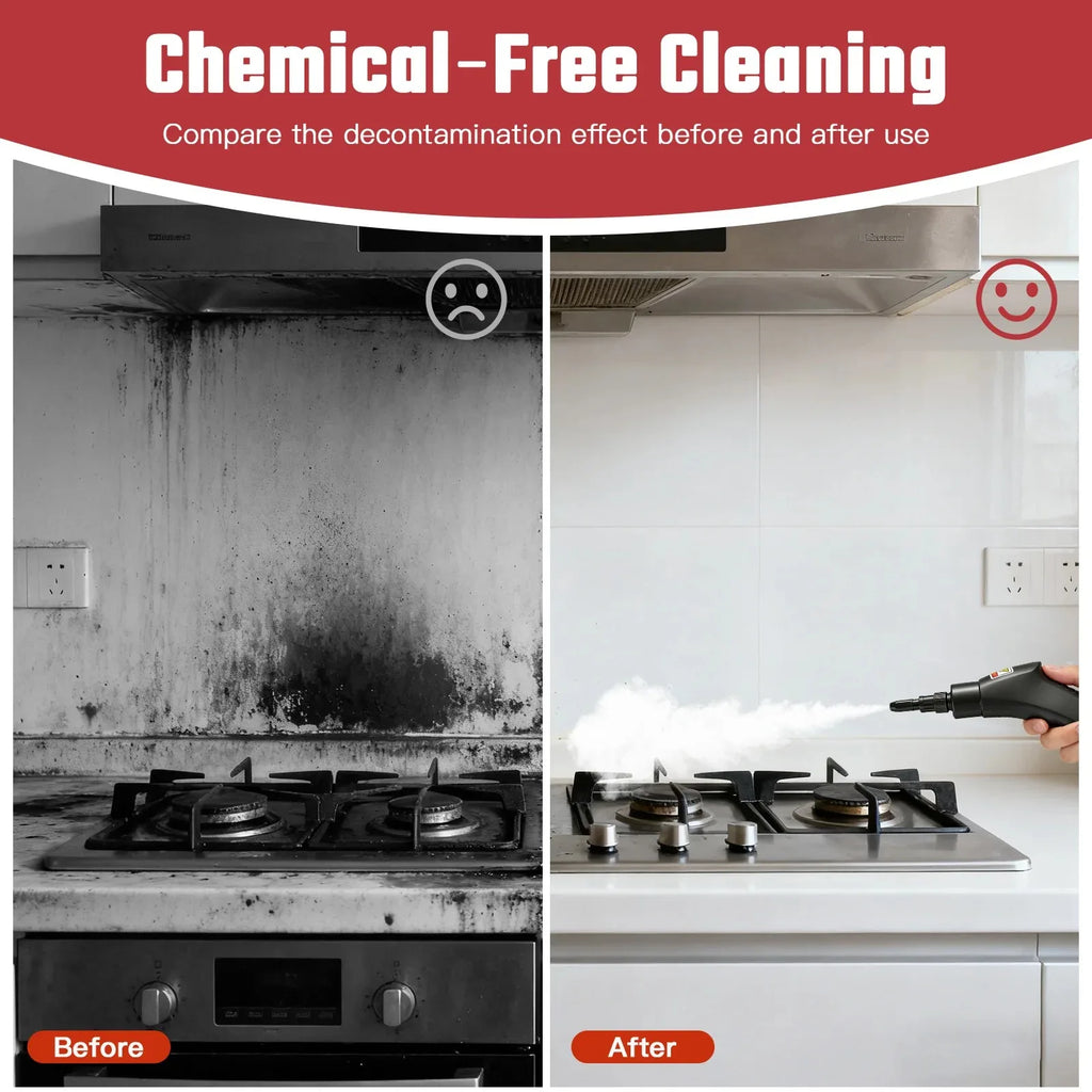 2500W High Temperature Steam Cleaner 110V Portable Handheld Steam Cleaning Machine With Multiple Accessories US Plug